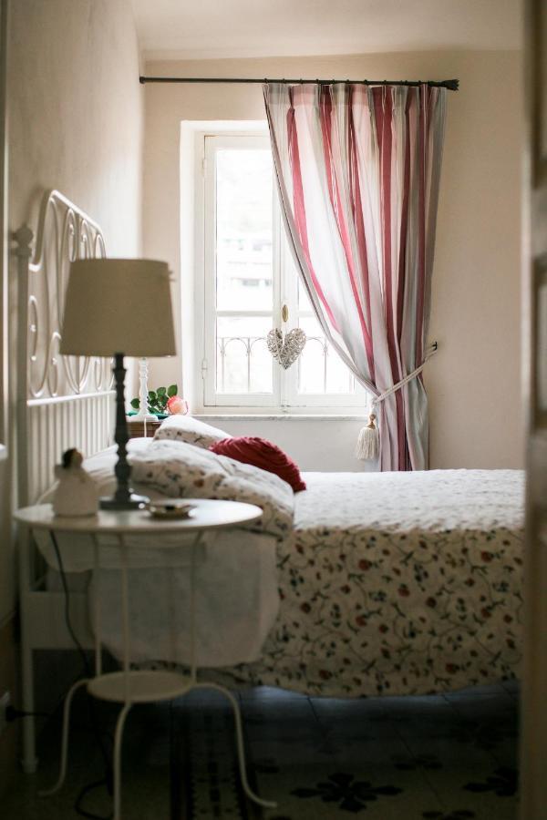 Le Gemme Couette-café *